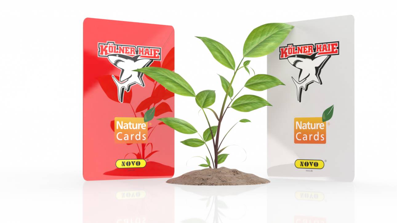 Bio-Revolution bei den Haien