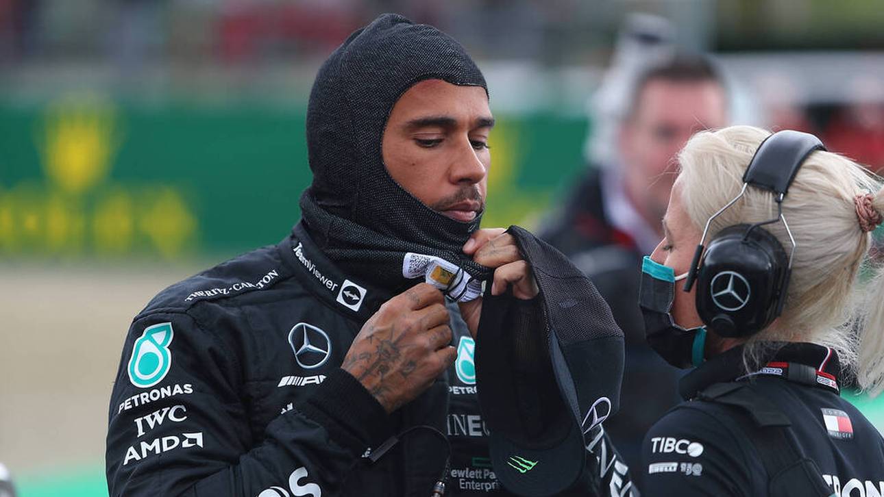 Hamilton-Krise: Das sagen Experten
