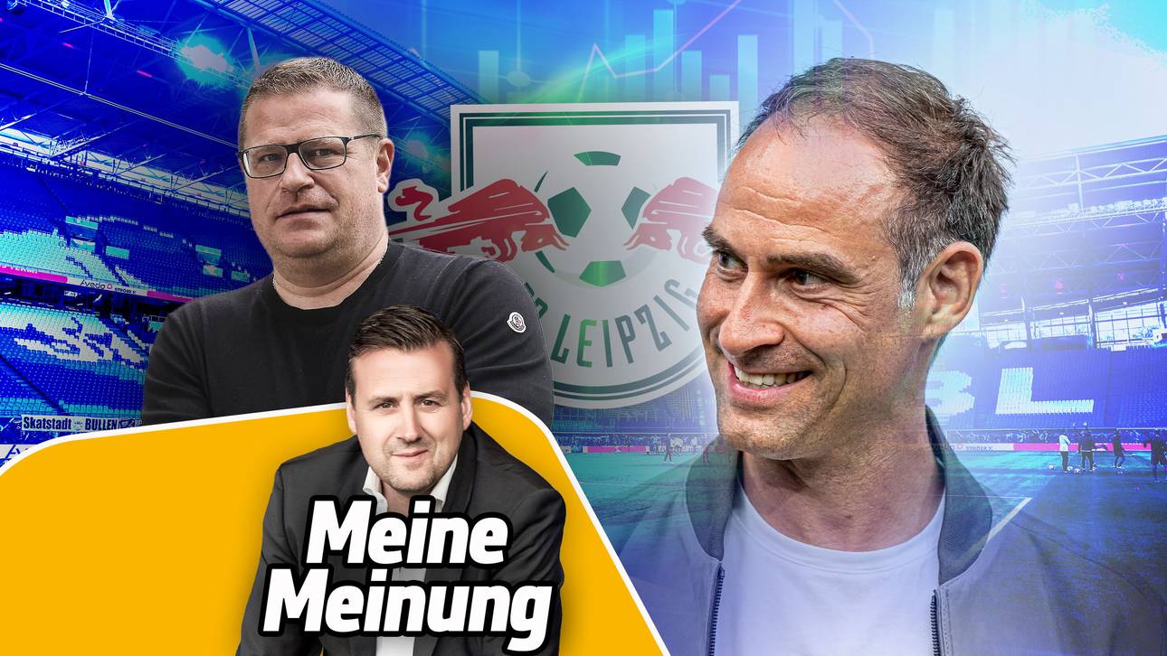 Mintzlaffs verräterische Sätze