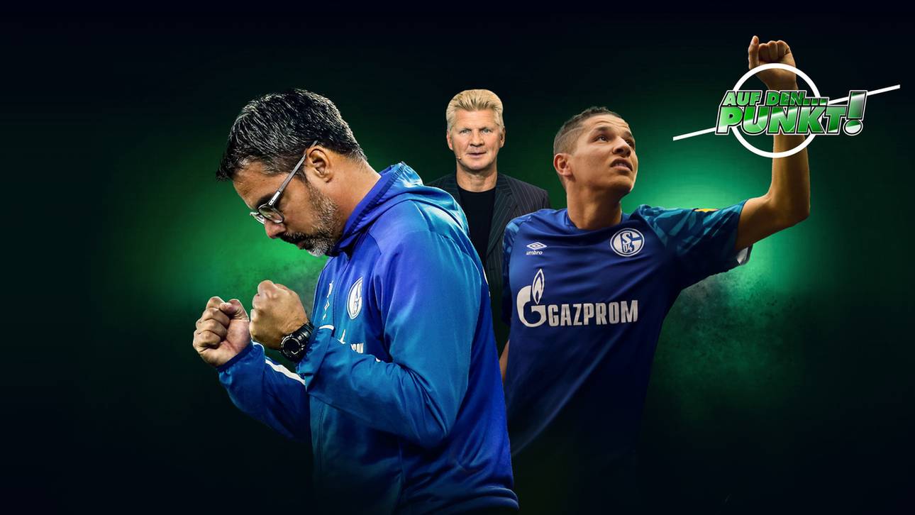 Effenberg: Deshalb überrascht S04