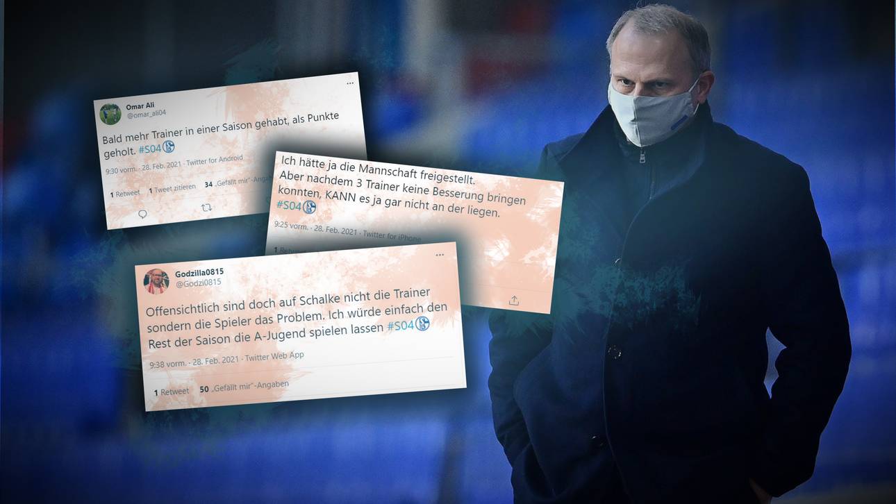 Schalke-Beben: Fans sarkastisch