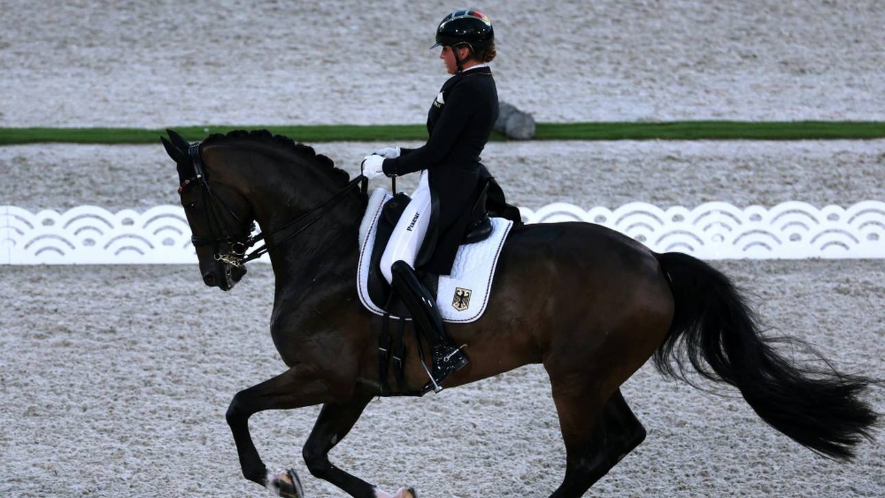 Dressur-DM in Balve: Schneider und Showtime gewinnen Grand Prix Special