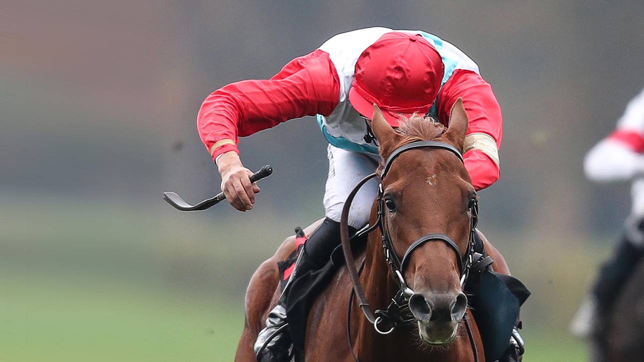 Deutschlands neues Superpferd