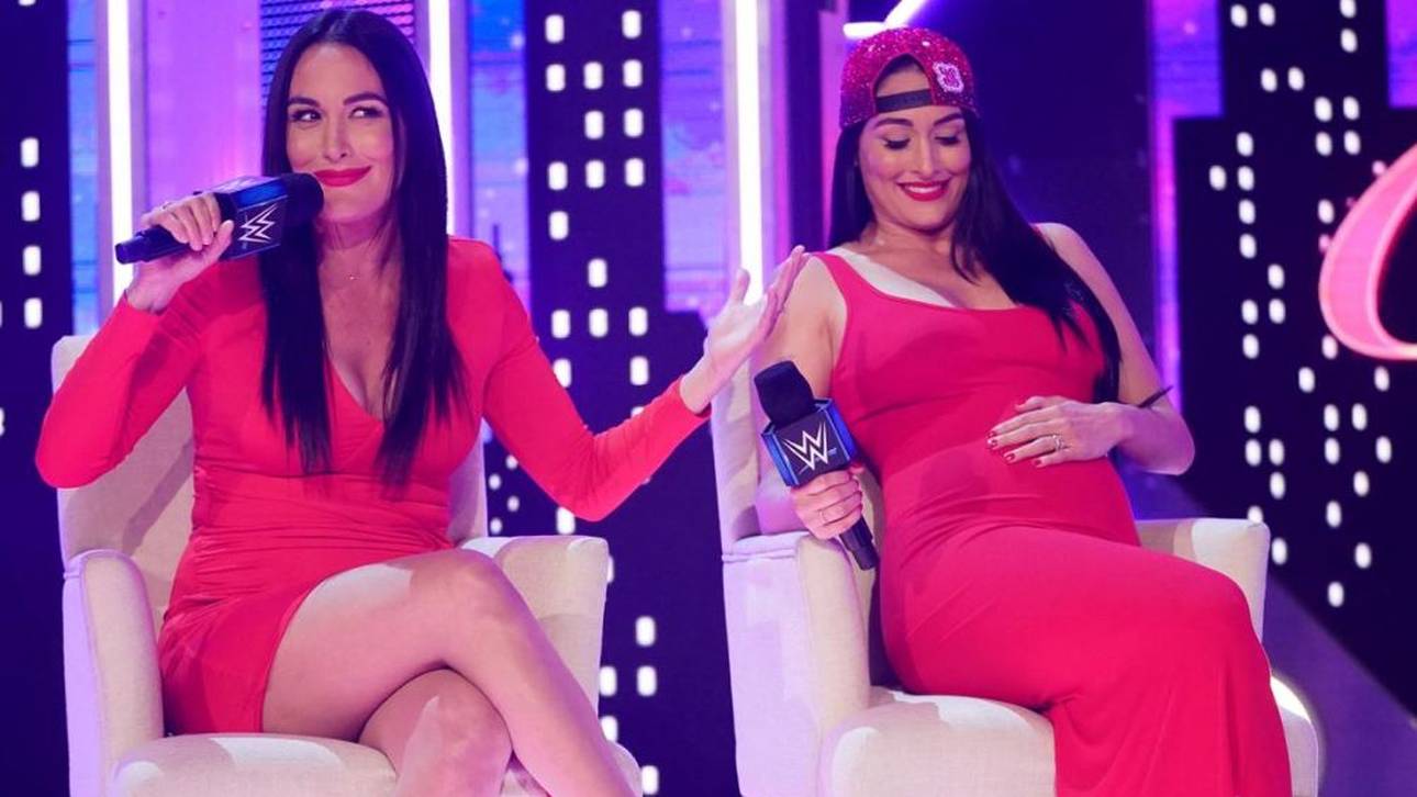 Bella Twins in WWE Hall of Fame