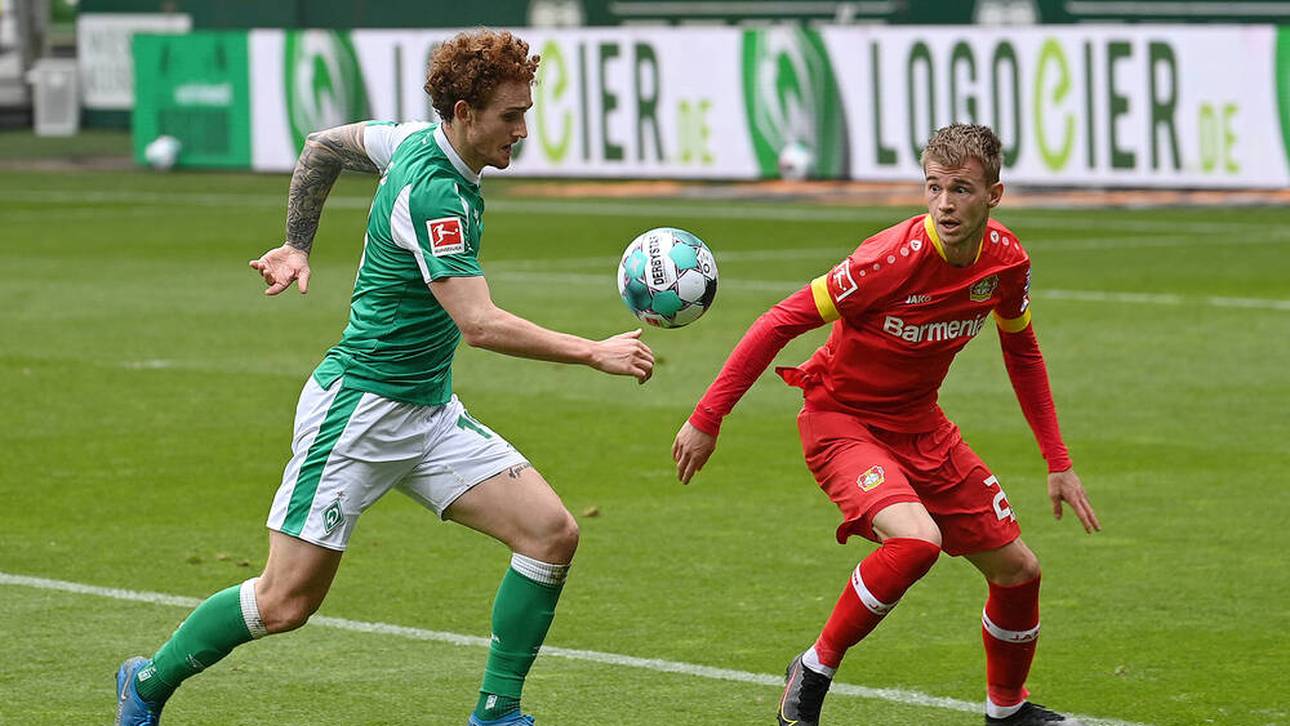 So will Bayer die Bailey-Millionen investieren