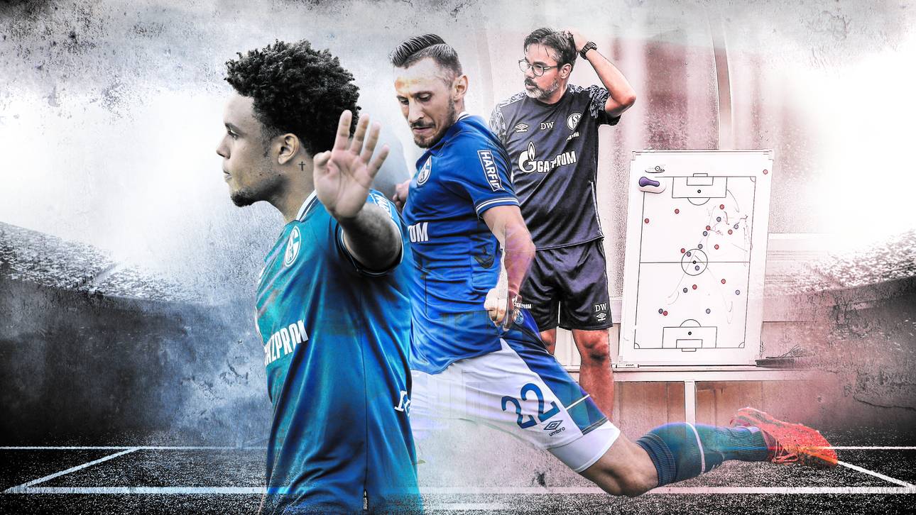 Schalke aus der Krise in die Krise?