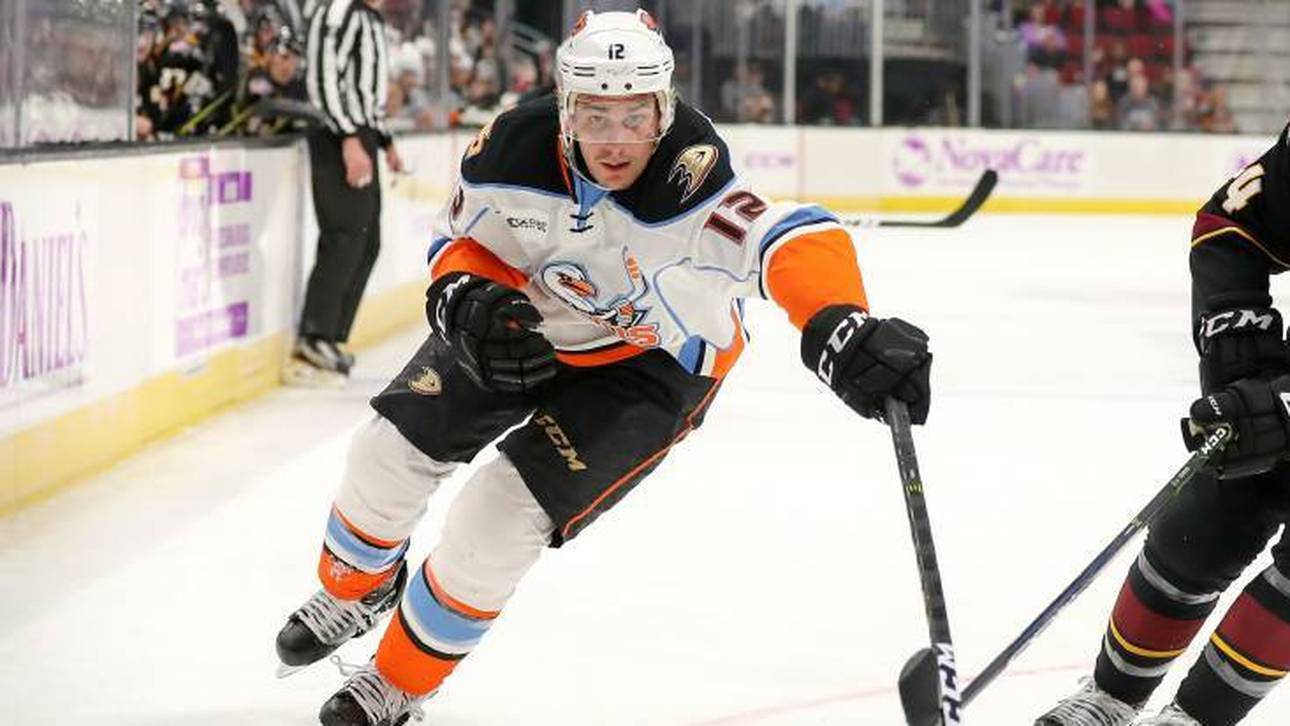 Straubing holt früheren NHL-Stürmer