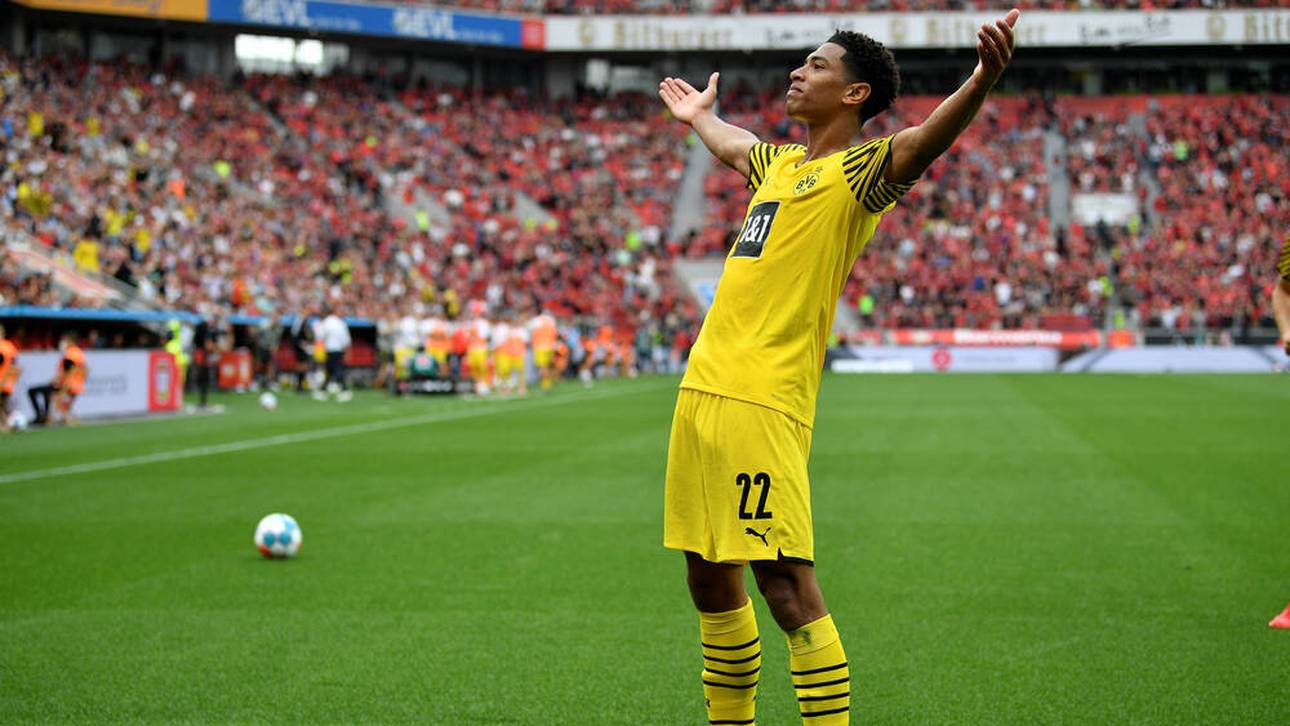 Bellinghams cooler Bierbecher-Fang