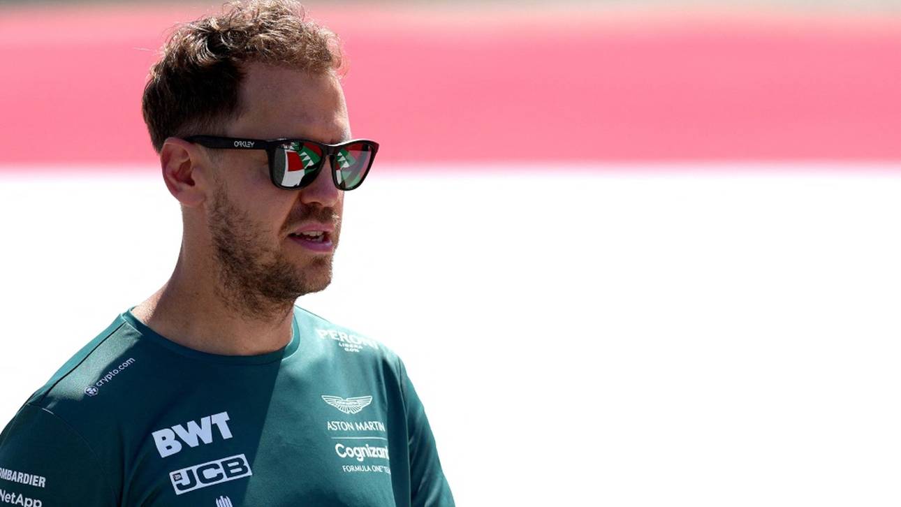 Vettel baut Rennwagen-Insektenhotel