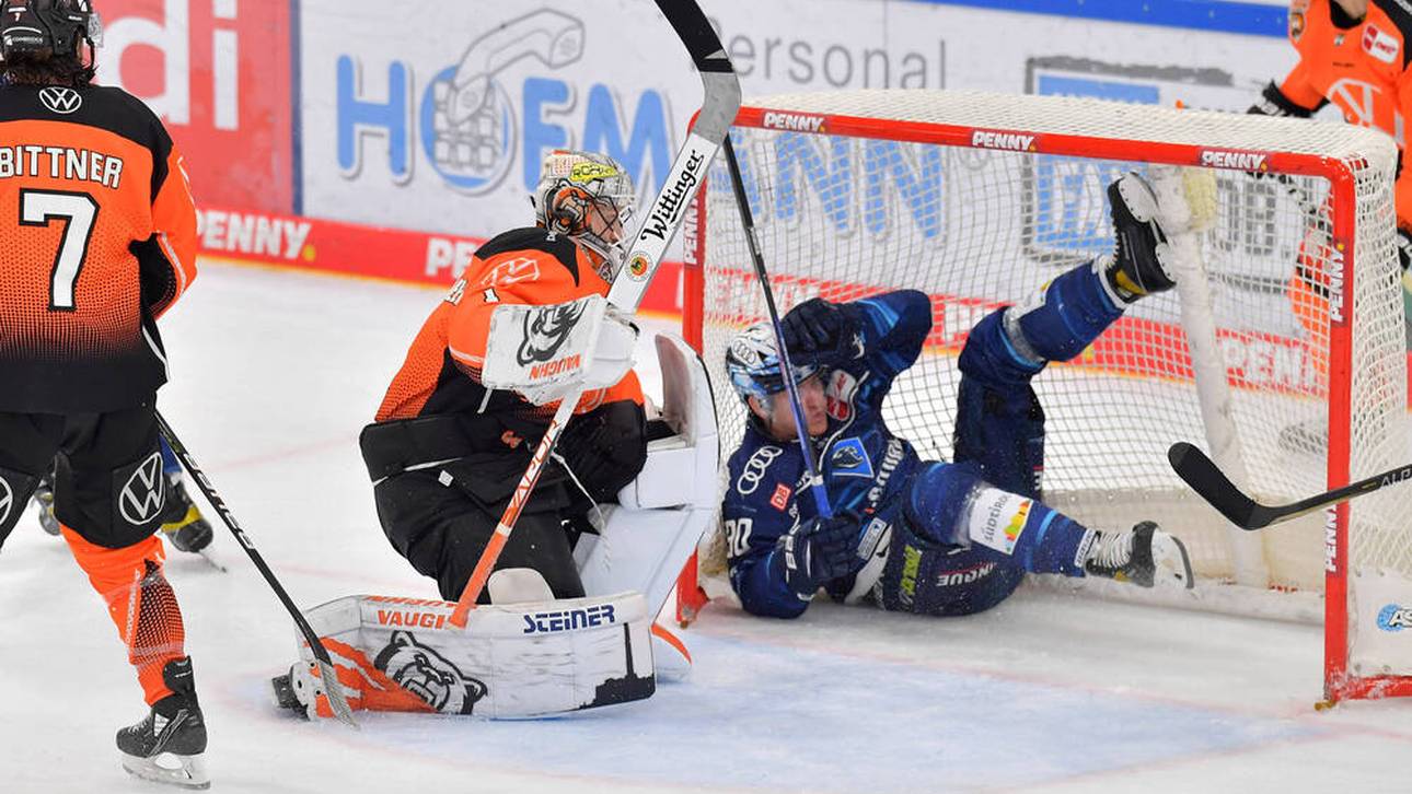 Revanchiert sich Ingolstadt bei Grizzlys?