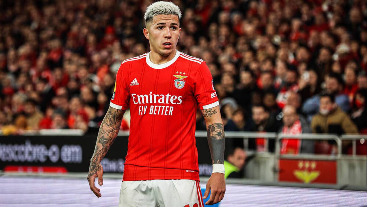 Benfica tritt gegen Fernández nach