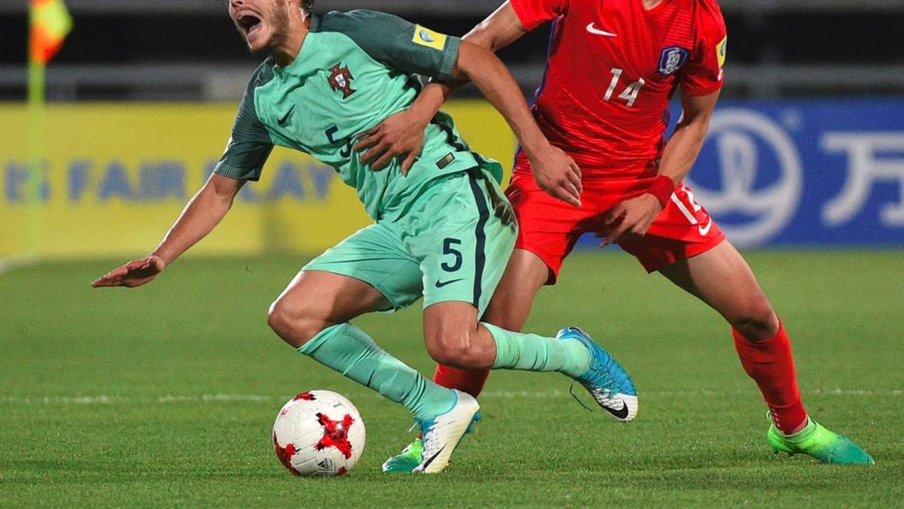 Darmstadt: Paik zurück nach Südkorea