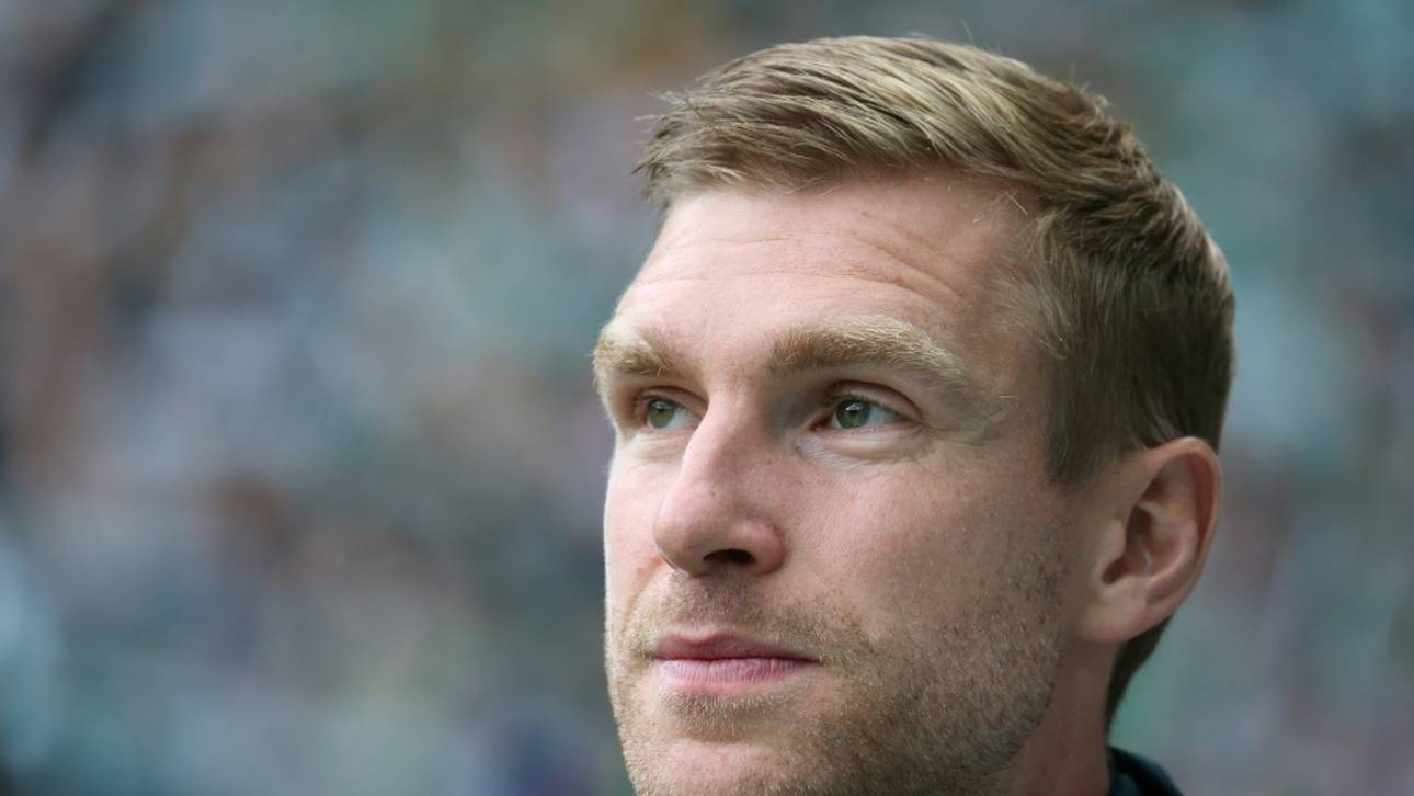 Mertesacker erklärt deutschen Trainer-Boom