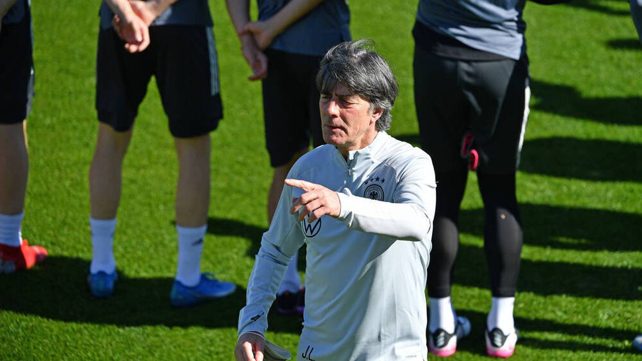 So plant Löw mit Hummels und Müller