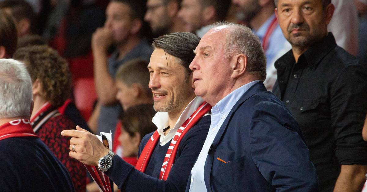 Fc Bayern Transfergeruchte Um Werner Havertz Und De Ligt Im Sport1 Check Sport1 Bildergalerie
