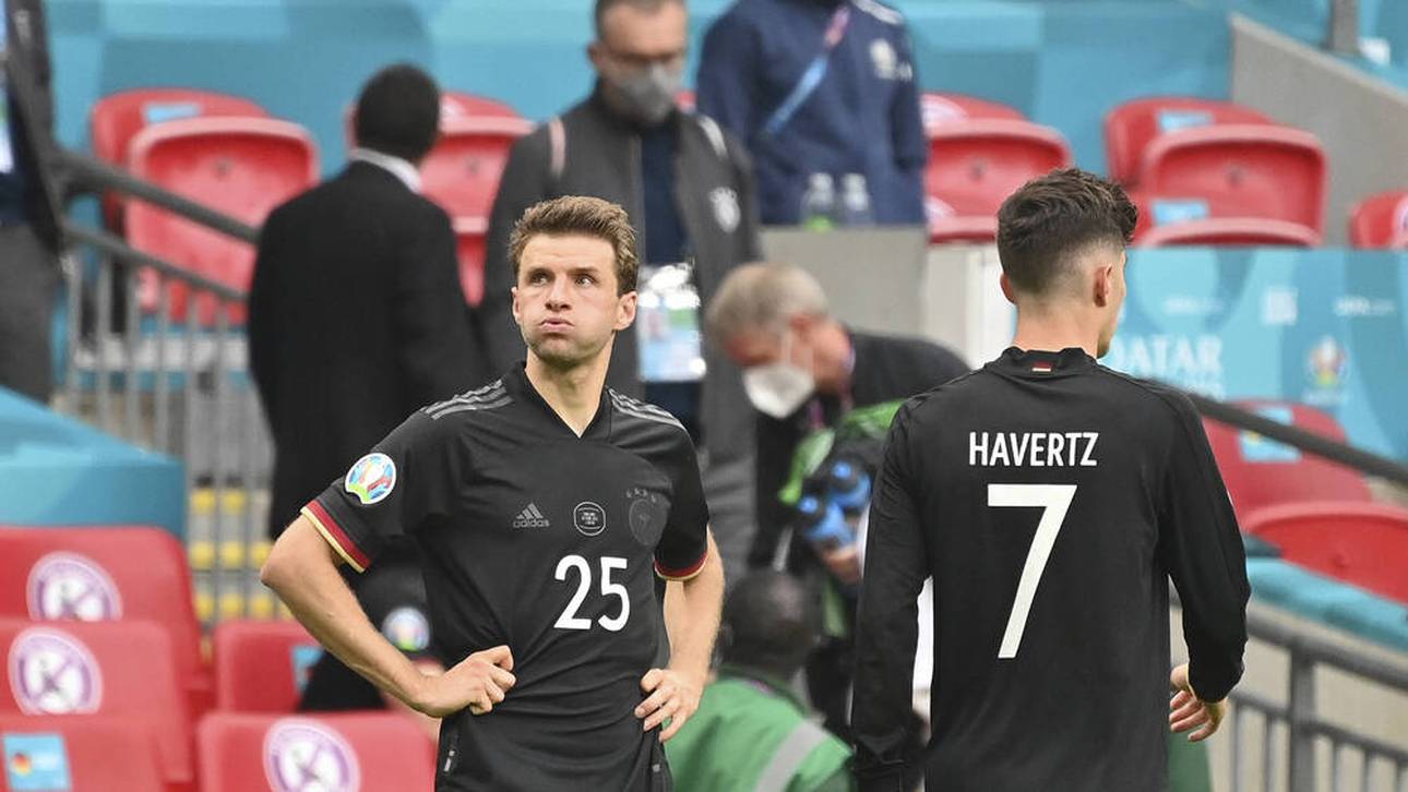 DFB-Aus: Vernichtendes Fan-Urteil