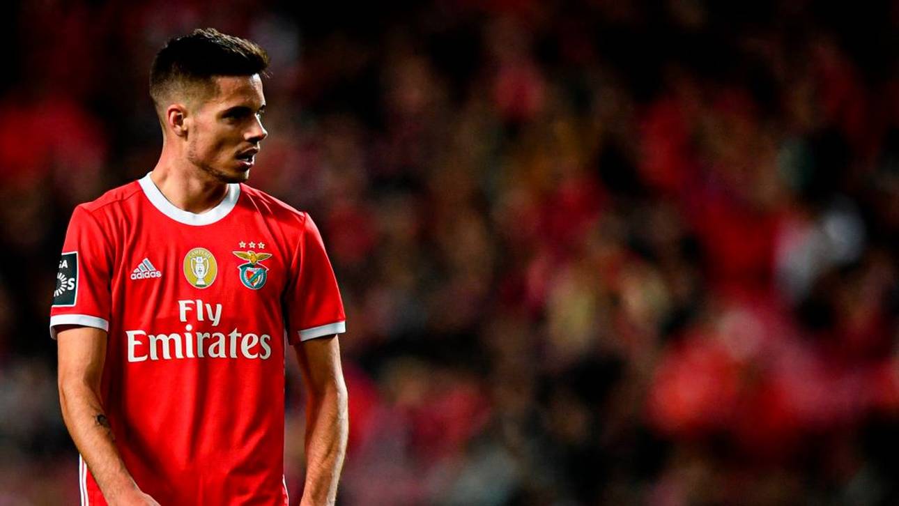 Weigl wollte „Abenteuer“ Benfica