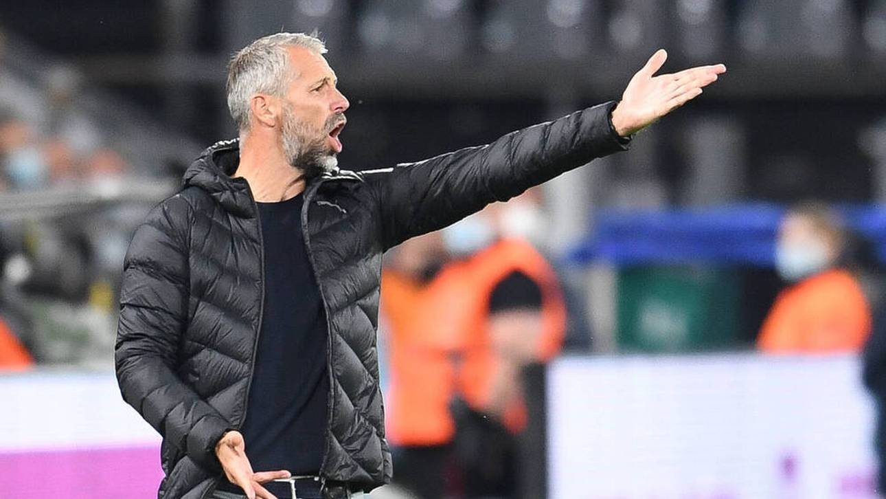 Was den BVB-Bossen gar nicht gefällt