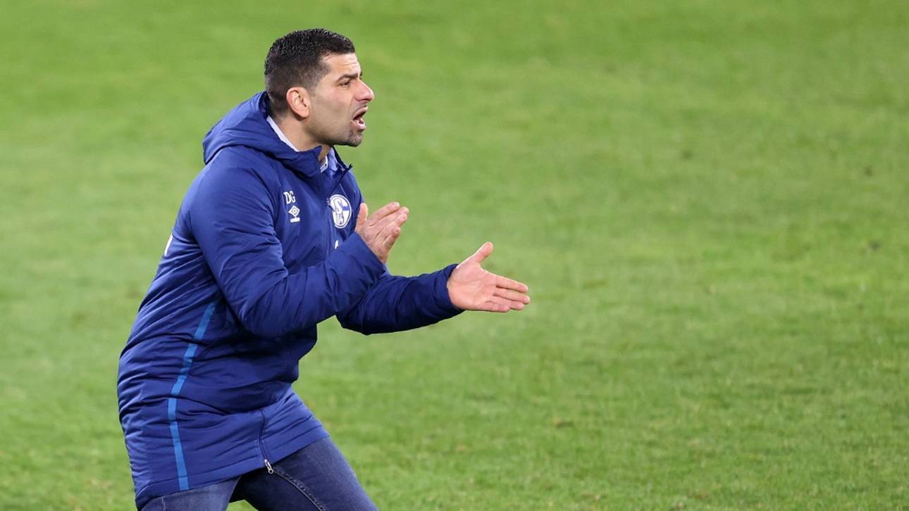 Rangnick-Wirbel: Das sagt Grammozis