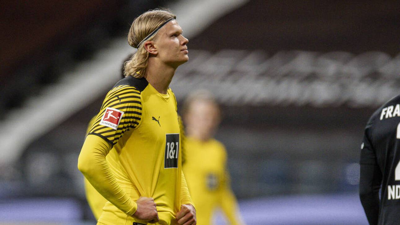 Haaland zum FCB? Effenberg wird deutlich