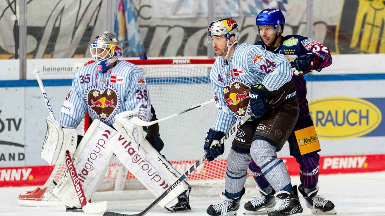 München verschärft Eisbären-Krise