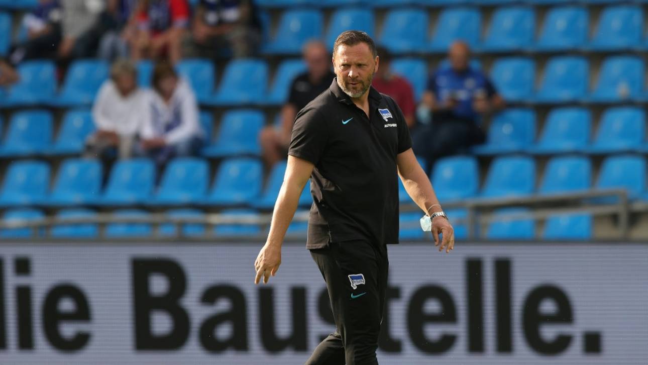 Dárdai sieht gute Hertha-Entwicklung