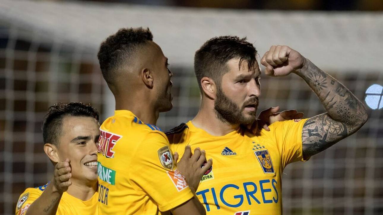 Diesen Tiger muss Bayern bändigen