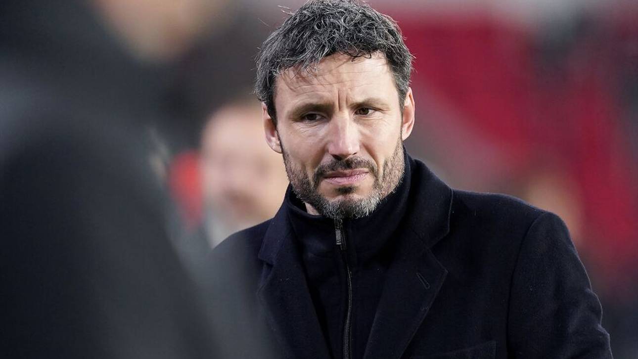 Van Bommel soll Wölfe-Coach werden