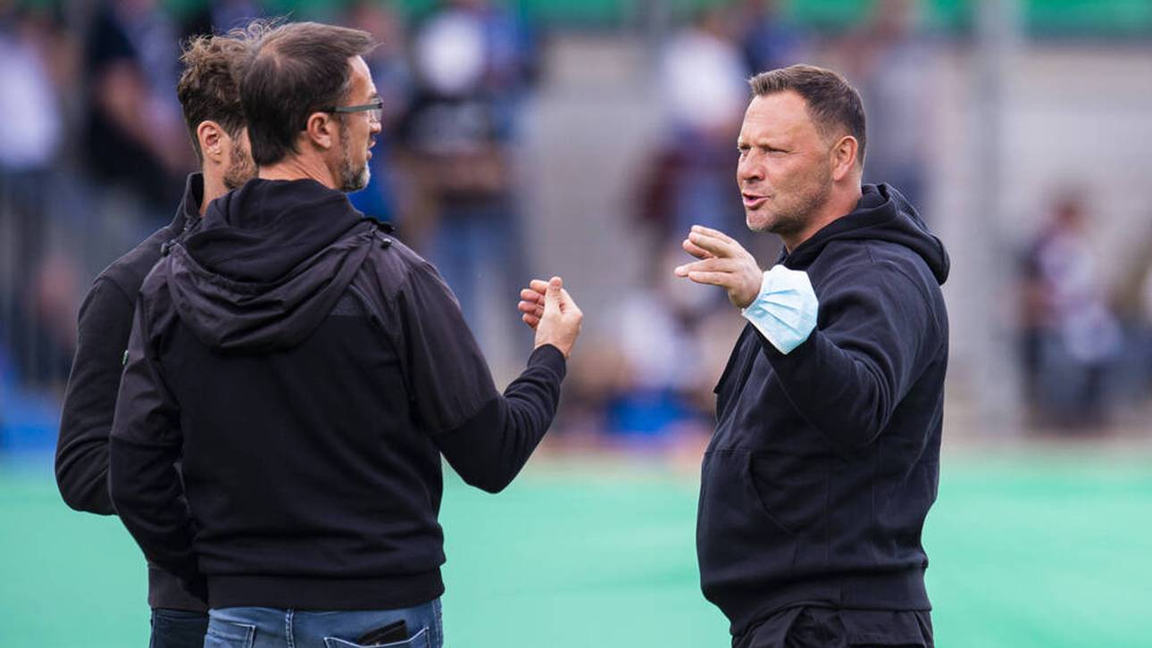 Bobic: Dárdai „hätte fliegen müssen“