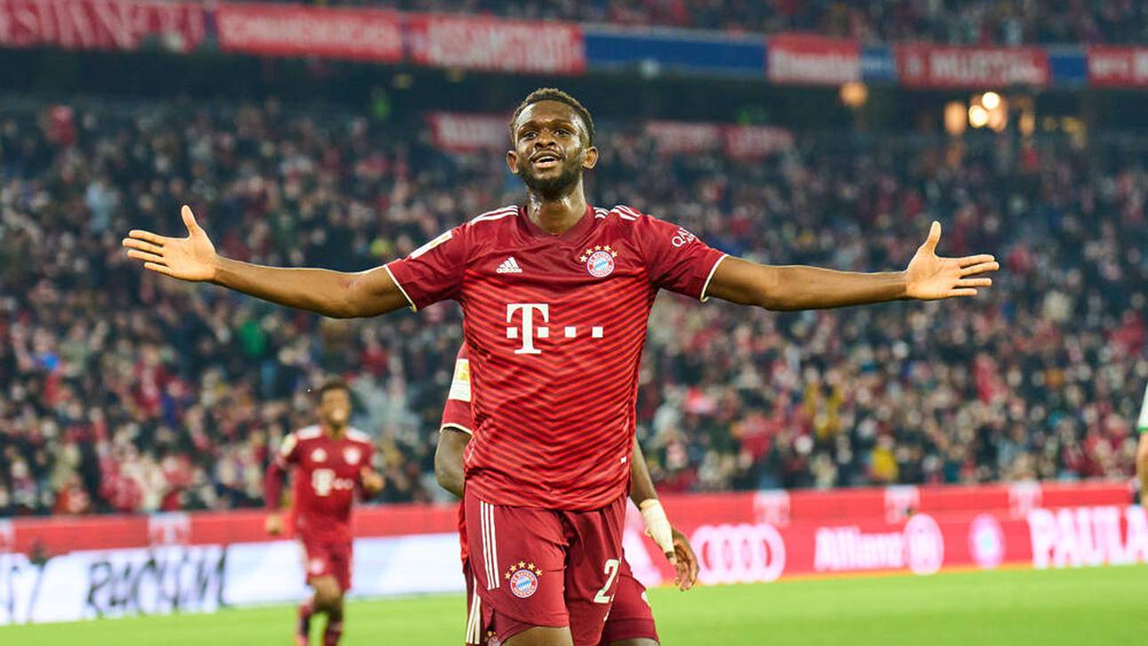 Nianzou im „Auffress-Modus“