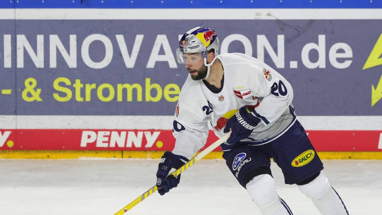 Bullen und Grizzlys mit Frustbewältigung