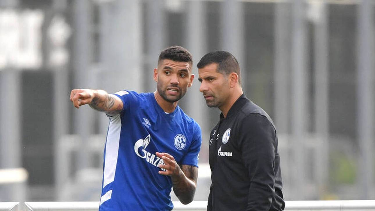 Fans glauben an Schalke-Enttäuschung