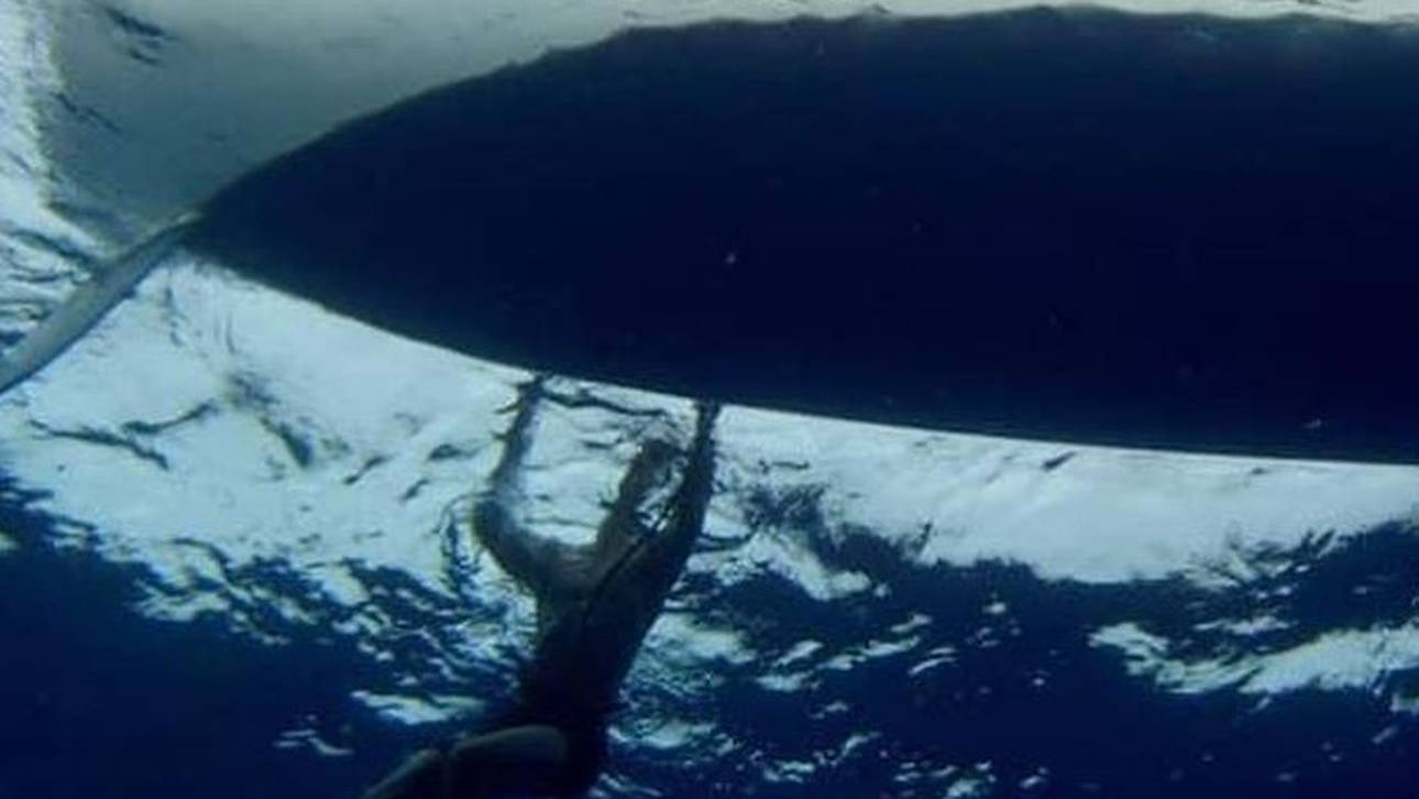 Riesen-Fisch greift Regattaboot an