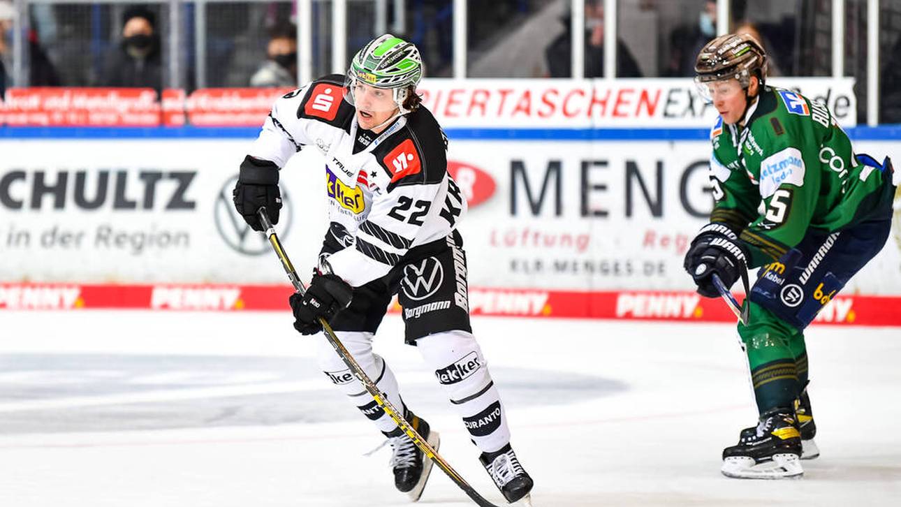 Roosters holen Spieler aus Krefeld