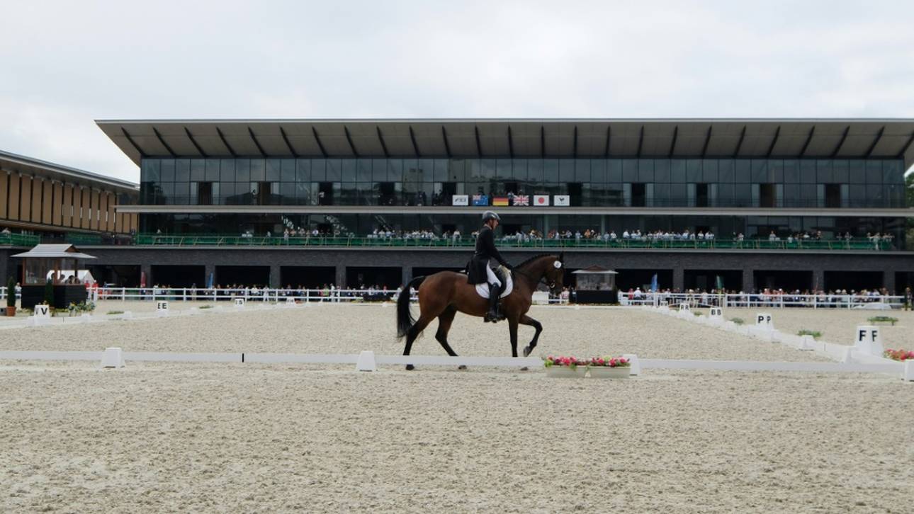 Verband bekämpft sexuelle Gewalt