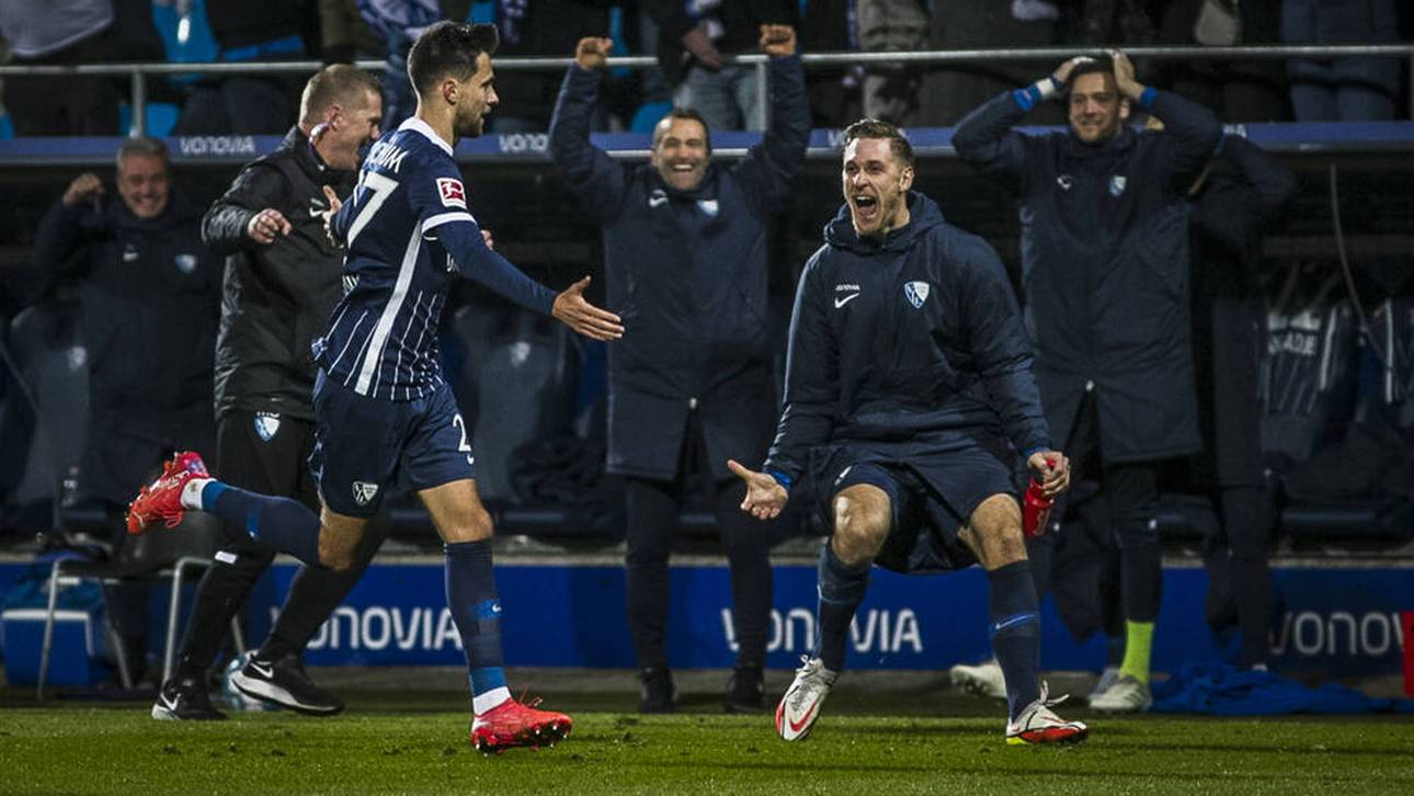 „Du verrückter Sauhund“