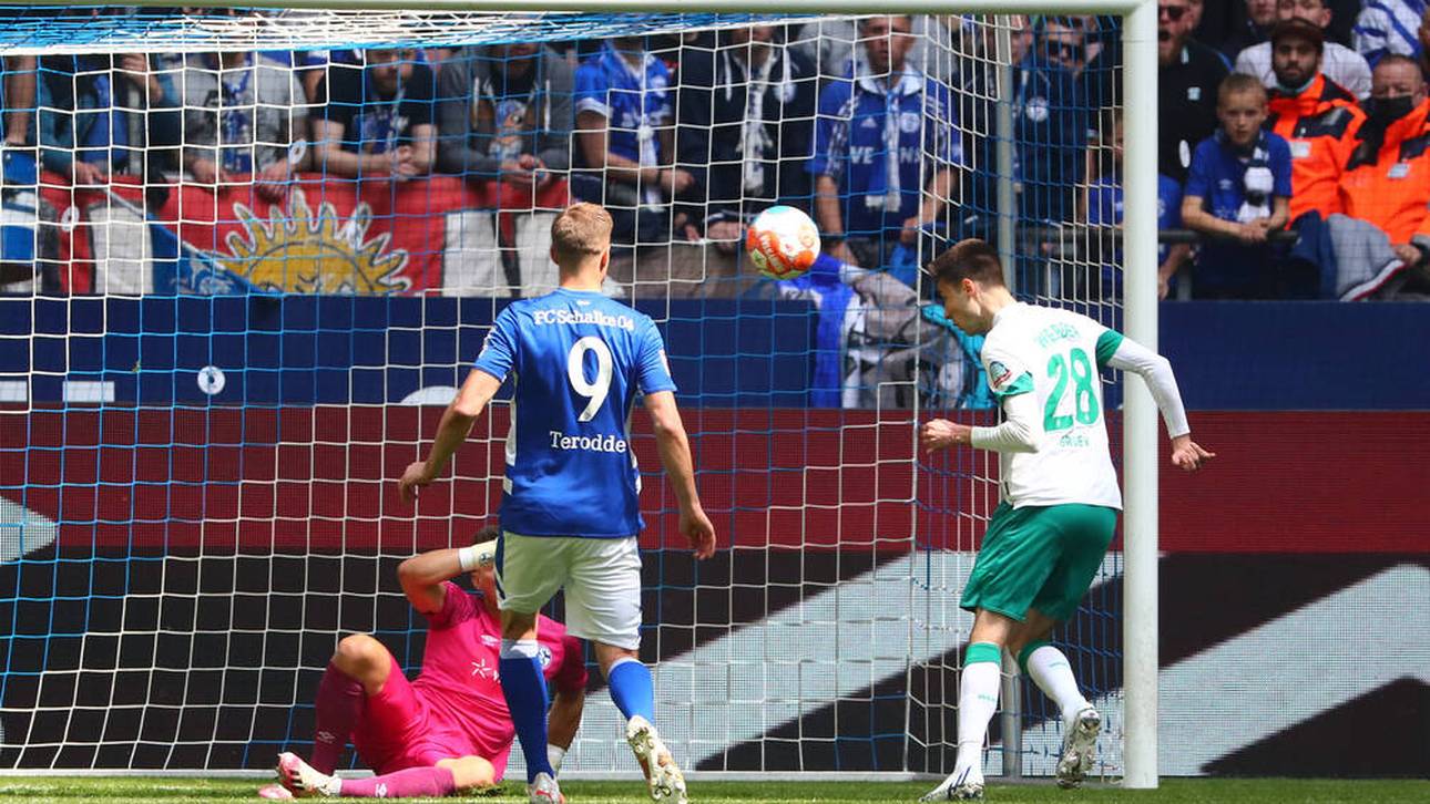 Werder demütigt Schalke