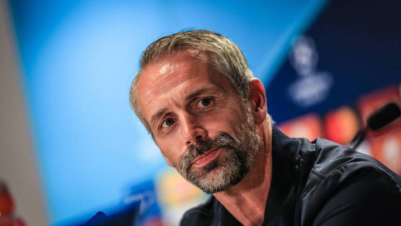 Rose vor Donezk: „Das ist pervers“