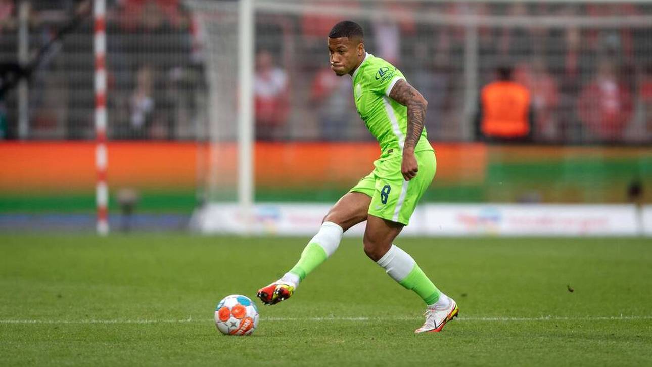 Van Bommel beginnt mit Top-Talent