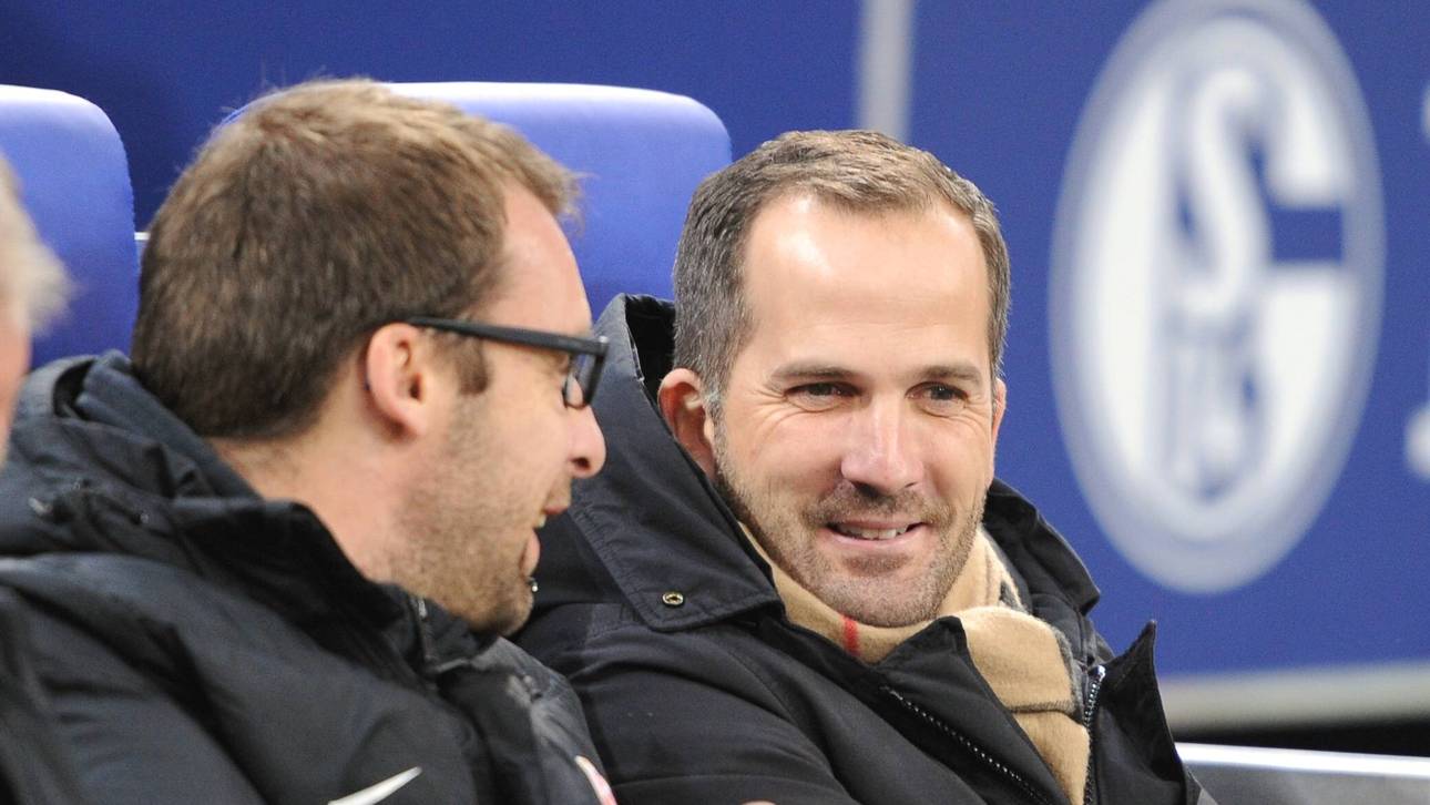 Baum und S04: Würde das passen?