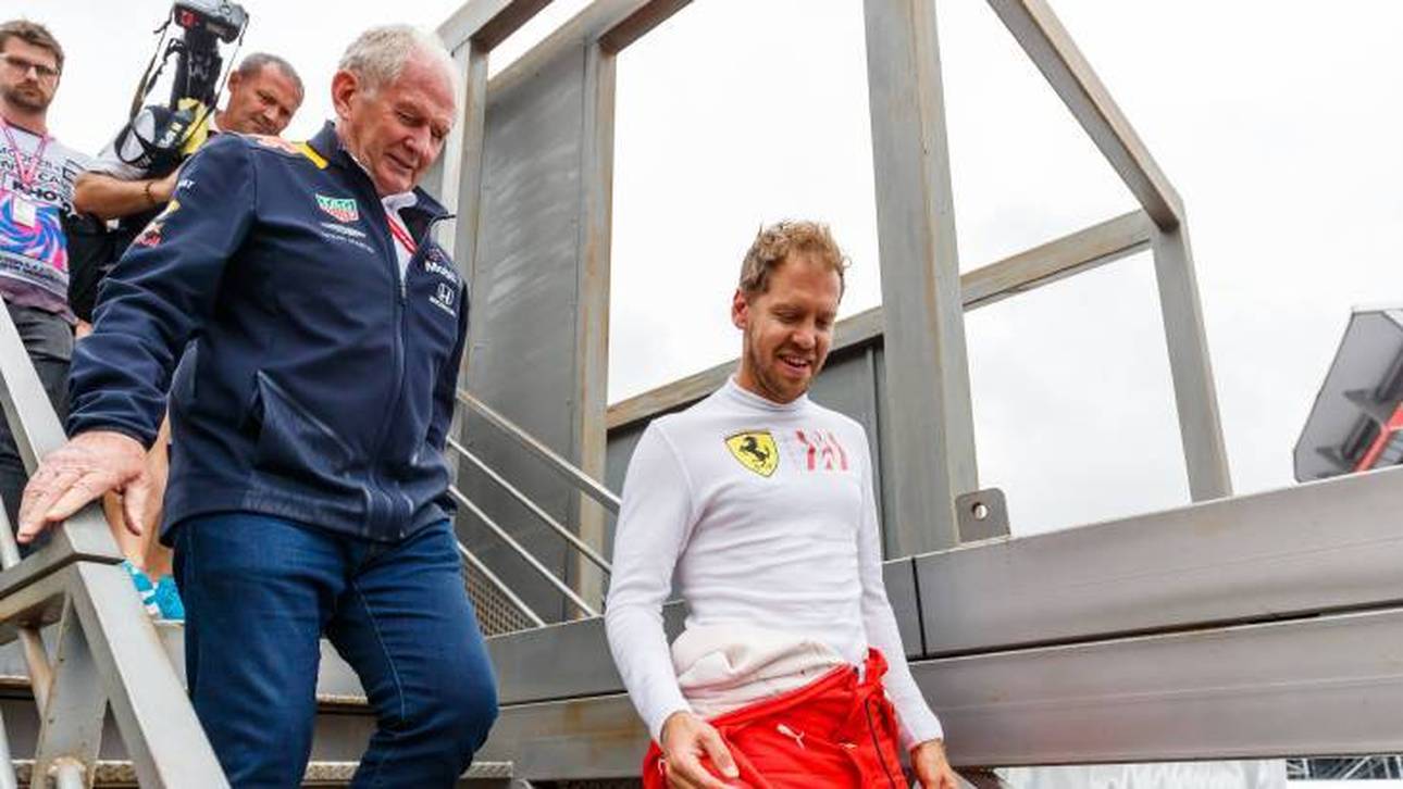 Statistiken belegen Vettels Klasse