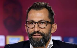 Fussball / Bundesliga