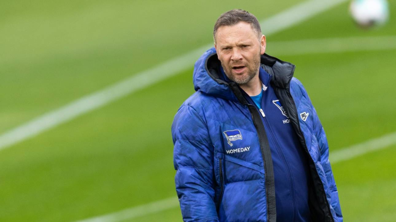 Hertha-Trainer Dardai fordert Sieg gegen Leverkusen