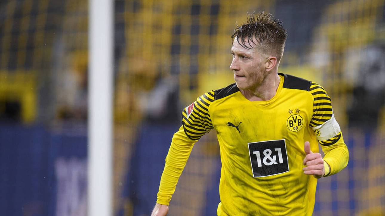 Reus bringt Produkt auf den Markt