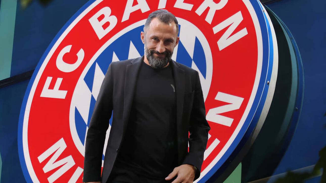 Salihamidzics 100-Mio-Meisterwerk