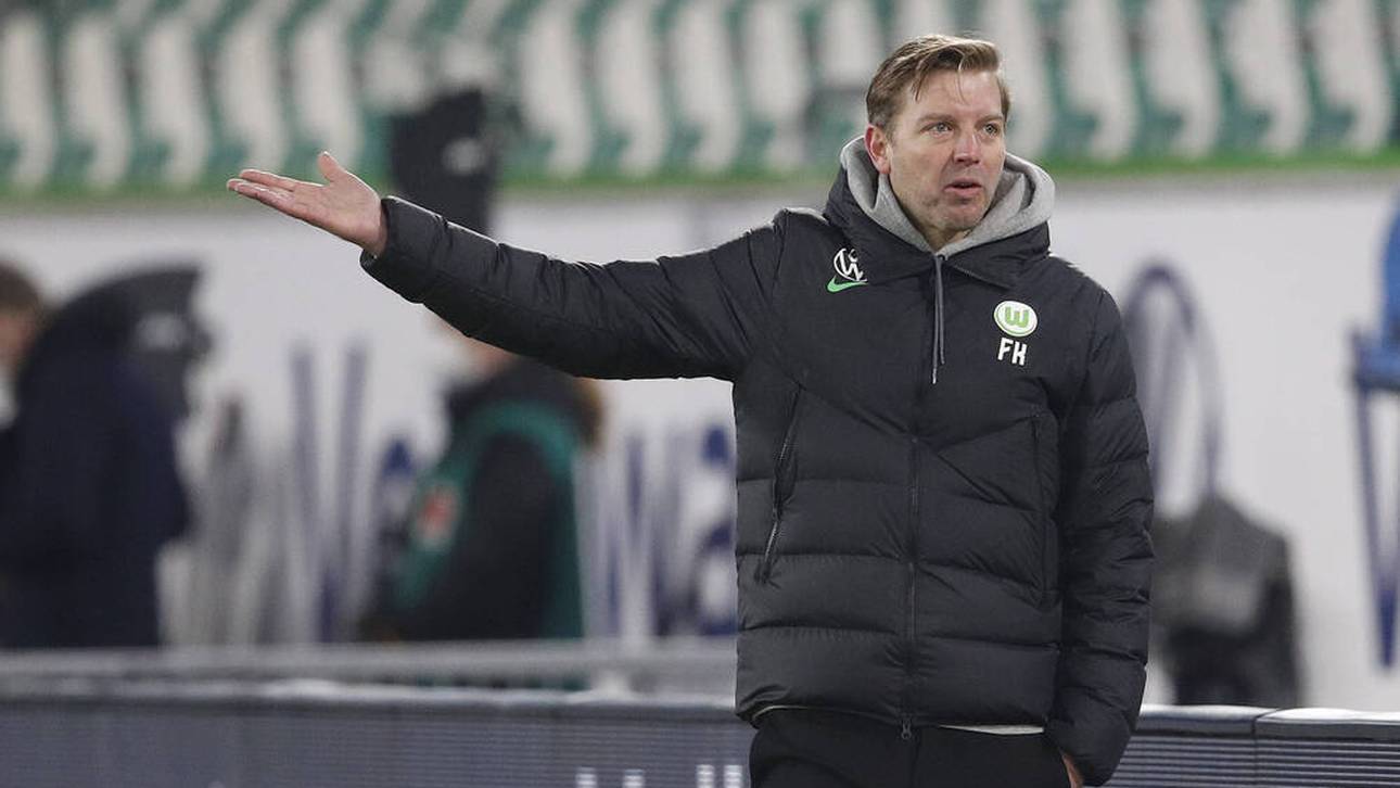 Wölfe unter Zugzwang