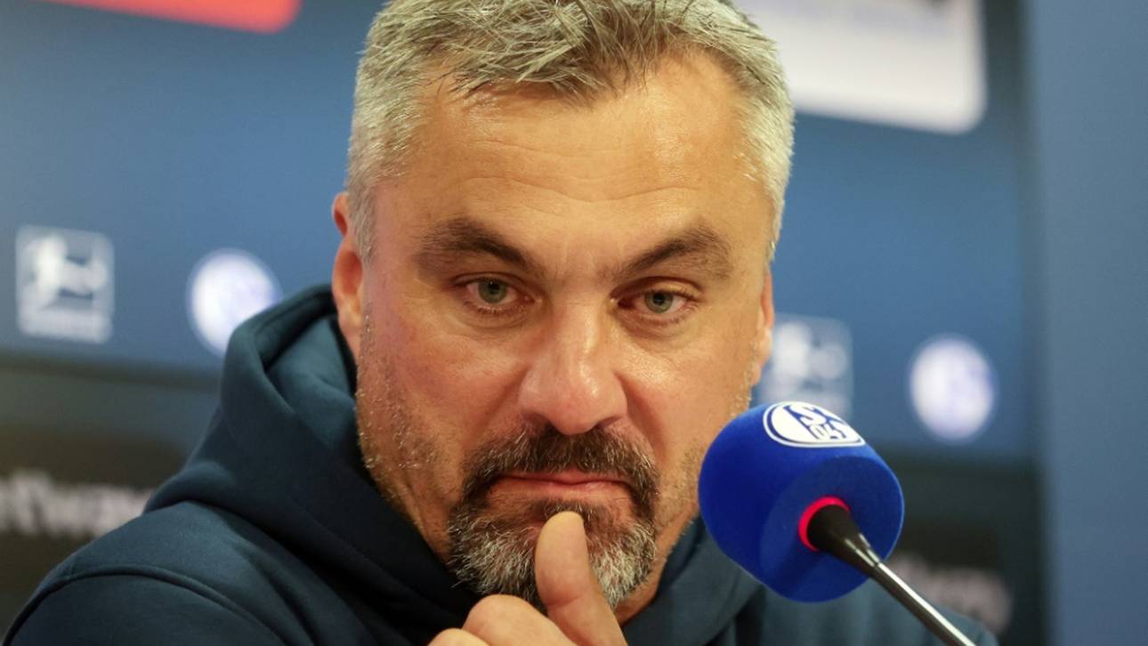 Kuriose Details! Schalke-Suche beendet