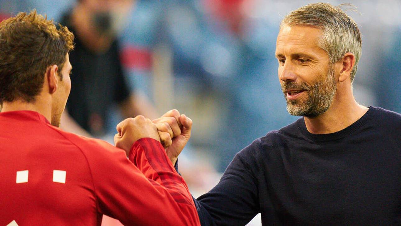 Rose bremst Hoffnungen bei Haaland