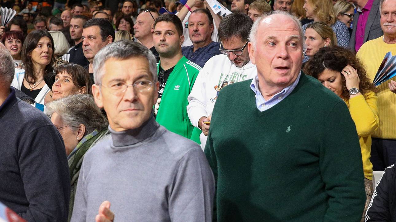 Hainer watscht Basketballer ab