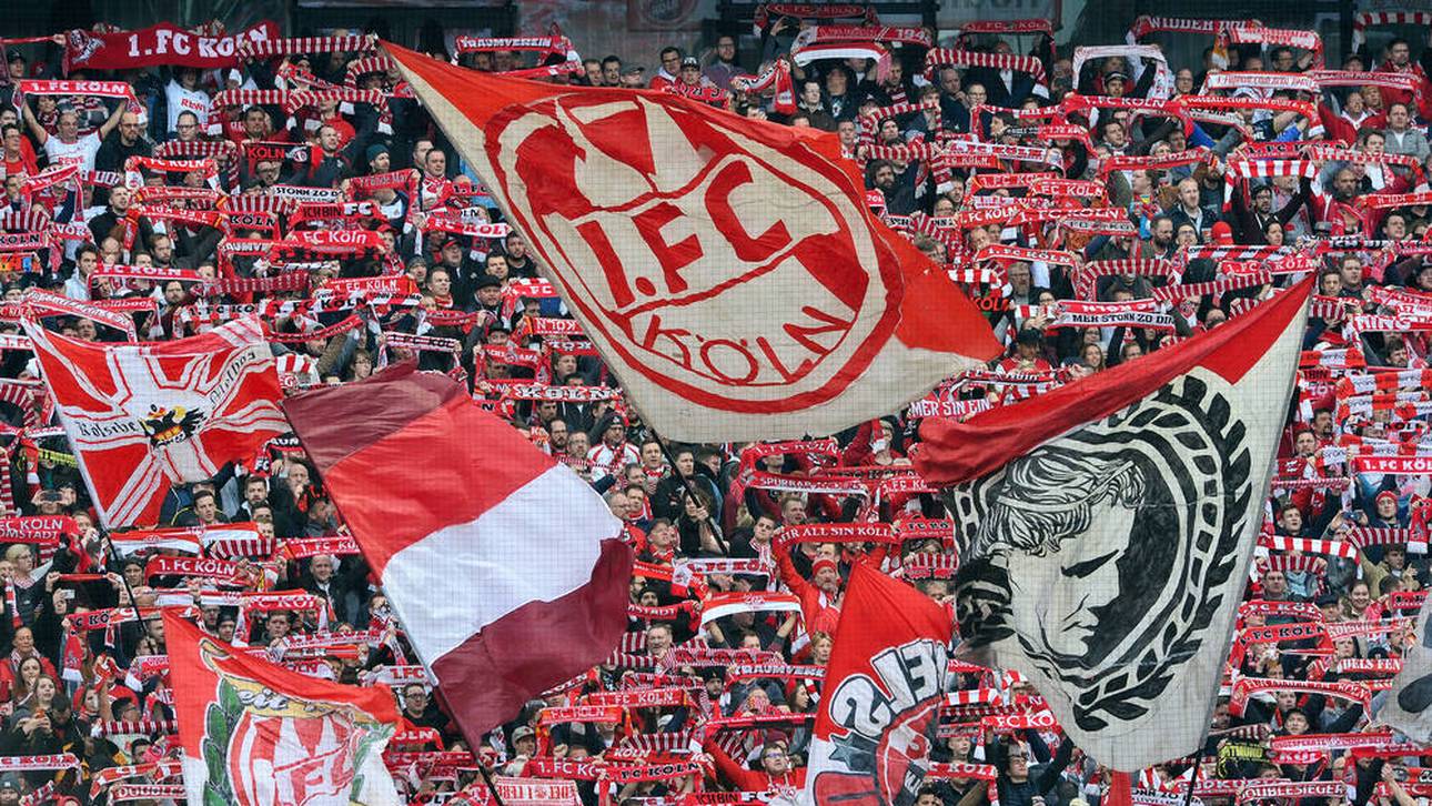 So denken die Köln-Fans über die Stadion-Pläne